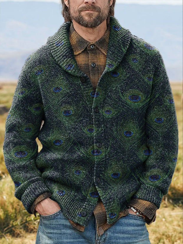 Men's Peacock Feather Decorative Pattern Knit V-neck Pullover Sweater